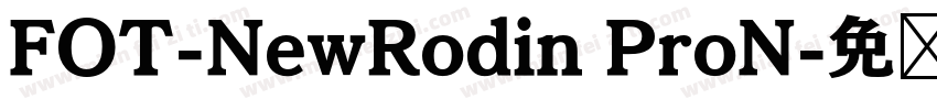 FOT-NewRodin ProN字体转换